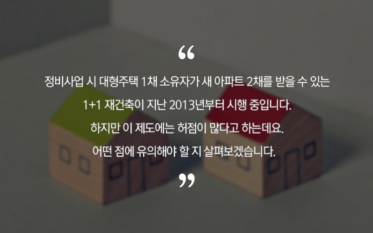  1+1 재건축의 함정, 2채 못 받을 수도 있다