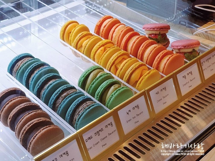  뚱카롱에 반한 송리단길 마카롱 카페 자몽하다!
