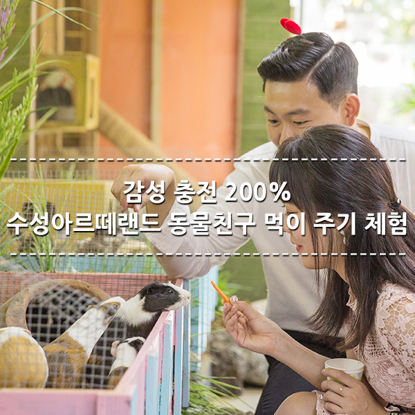  동물 친구들에게 먹이 주기 체험으로 감성 충전 200% - 수성아르떼랜드 동물농장 패딩주 :: 대구 체험활동 / 대구 동물원 / 대구 가볼만한 곳