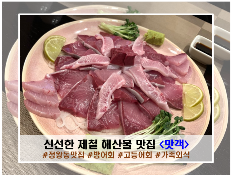  신선한 대방어회, 고등어회, 굴보쌈 제철 해산물먹으로 가족외식 정왕동 <맛객>에서 !