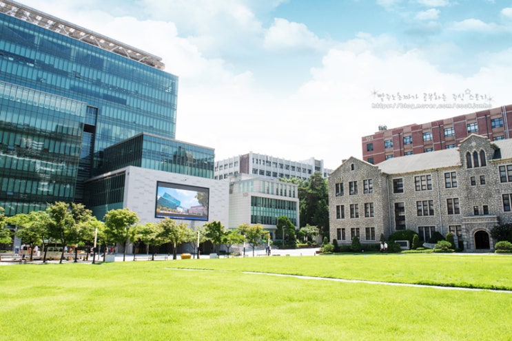  학점은행제 추천 - 중앙대학교 평생교육원(신입생 모집)