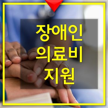 장애인의료비지원