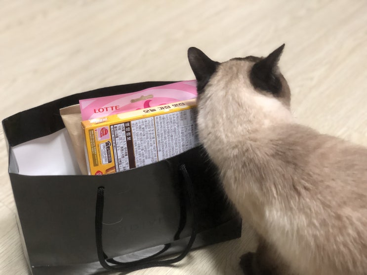  2018.12.21-사람과 사람4