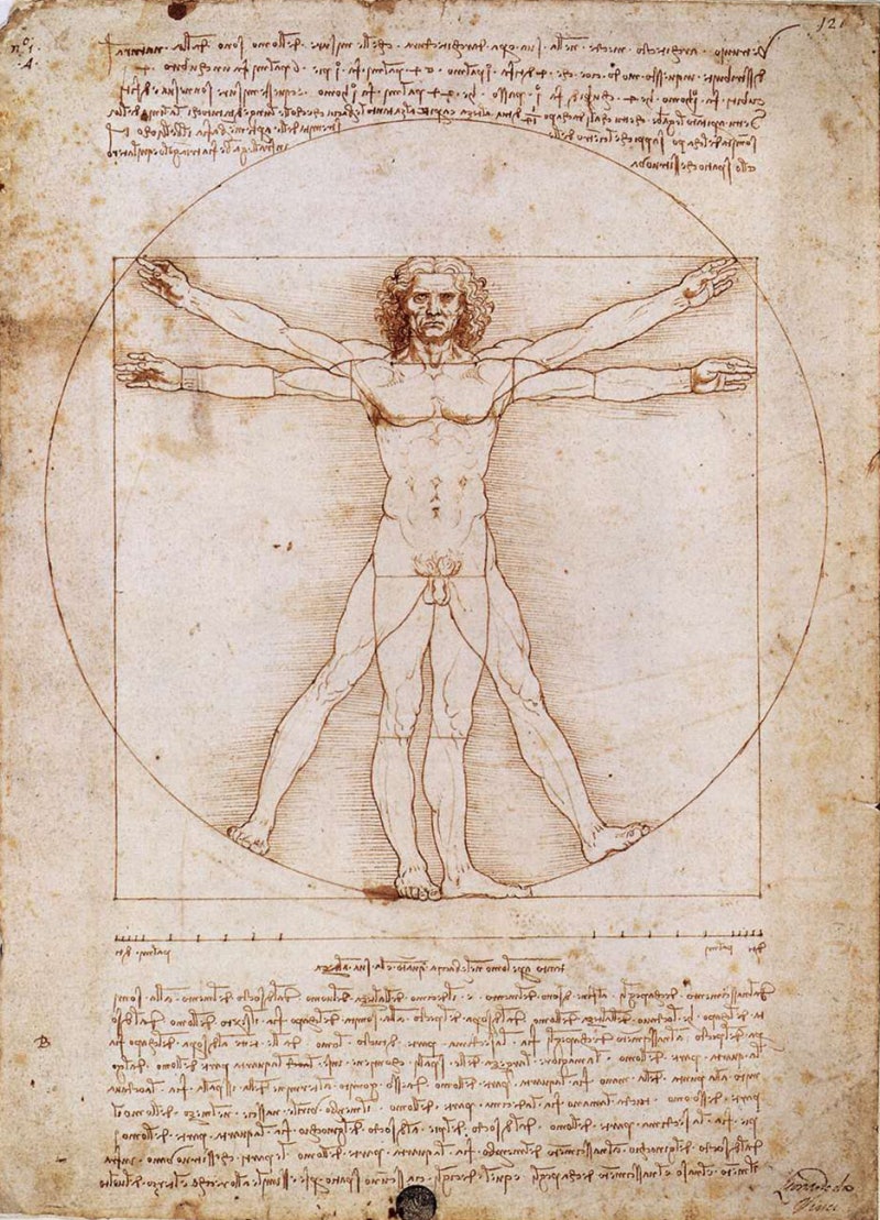 애플사우루스] 레오나르도 다빈치의 중요한 작품들... : 네이버 블로그, image size:800x1109