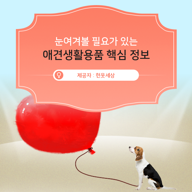  광주 헌옷팔기 알아둘수록 쓸모있는 애견생활용품 알짜 정보