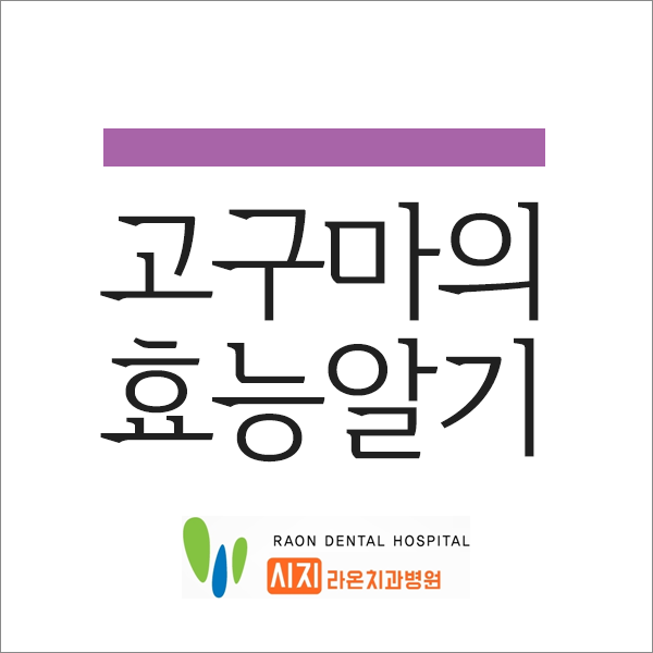  [경산치과, 시지치과] 라온 소개 건강에 좋은 고구마 효능 알아보기