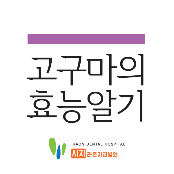 [경산치과, 시지치과] 라온 소개 건강에 좋은 고구마 효능 알아보기