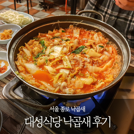  내 입에는 심심했던 종로 대성식당 낙곱새 후기