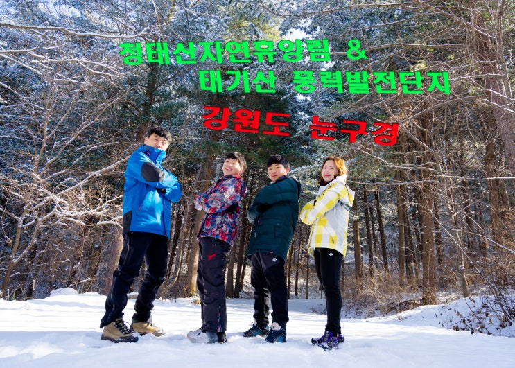  강원도 첫 대설주의보 청태산자연휴양림 & 태기산 풍력발전 단지 눈 구경...