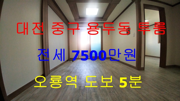  대전중구용두동투룸/오룡역투룸/용두동투룸전세