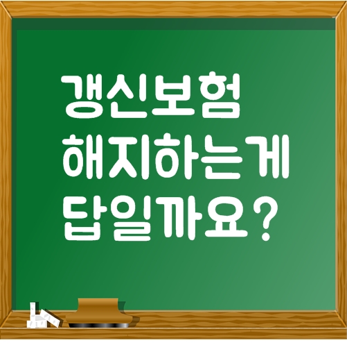  20대보험 갱신형인데 해지하는게 답일까요?