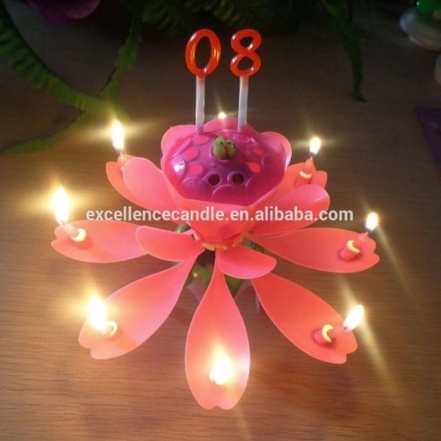 [핫딜/특가] TN-0004 숫자연꽃초 생일파티 촛불 생일 생일초 멜로디초 양초