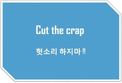 [영어표현] Cut the crap : 헛소리 하지마 !!