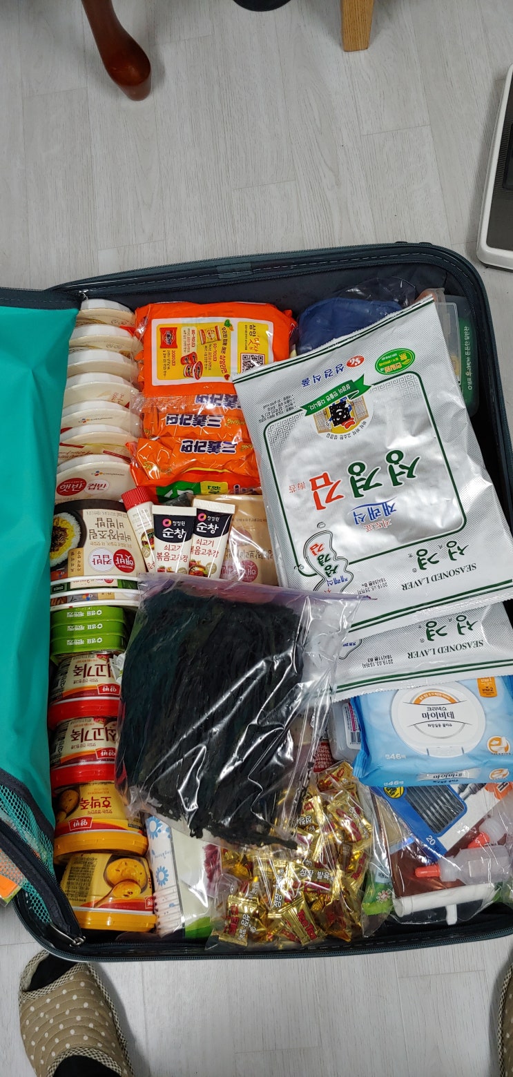  말레이시아 한달 살기 준비