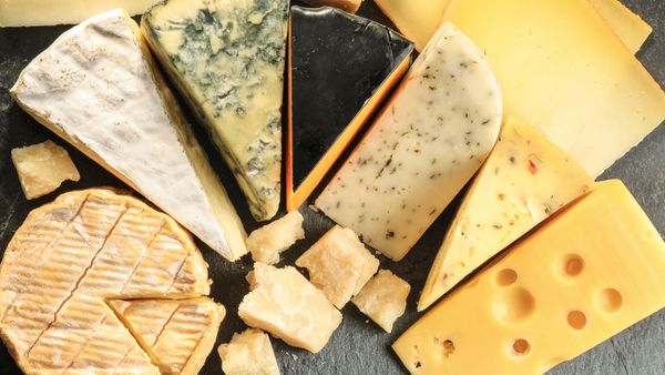 왜 사람들은 치즈를 건강식품으로 알고 있을까?