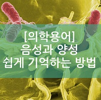  음성과 양성의 뜻과 쉽게 기억하는 방법