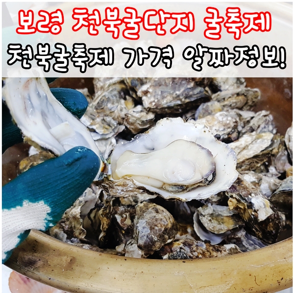  보령 천북굴축제 기간과 가격 알짜정보알고 새단장한 천북굴단지 가자