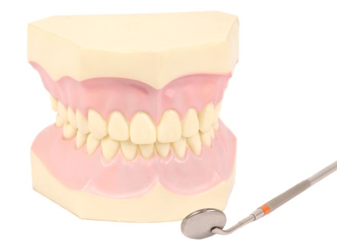 치아 발치하고 임플란트 치료 기간은 어느 정도 걸리나요?