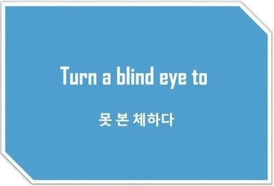  [영어표현] Turn a blind eye to : 못 본체하다 