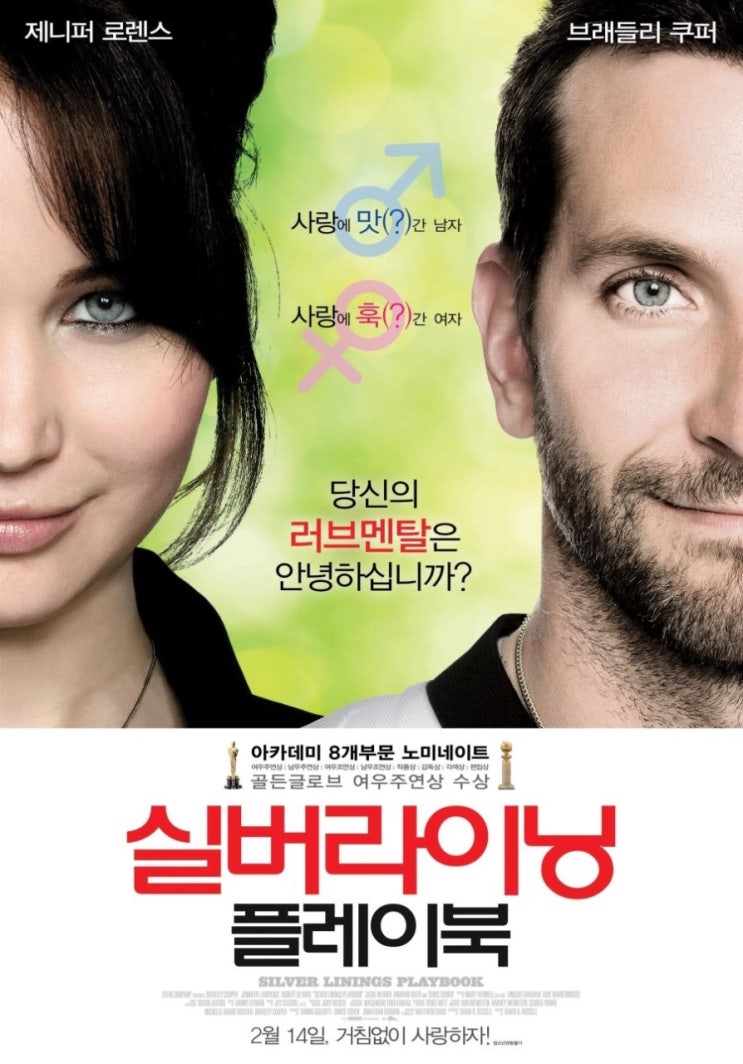  실버라이닝 플레이북 (Silver Linings Playbook, 2012)