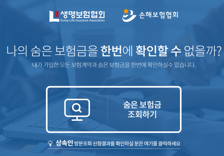  내보험찾아줌 서비스 확인