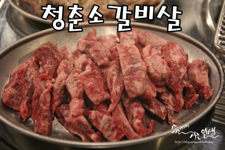  [경희대학교 맛집] 경희대 고기집 청춘소갈비살