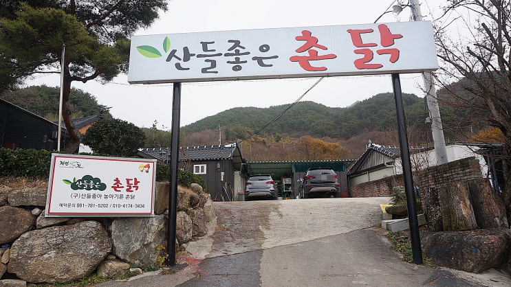  생방송투데이 맛집 구례 산들좋은촌닭 틀리네~