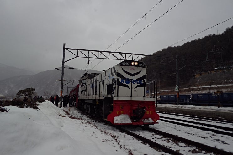 백두대간 협곡열차 겨울 기차여행