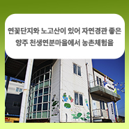  연꽃단지와 노고산이 있어 자연경관 좋은 양주 천생연분마을에서 농촌체험을