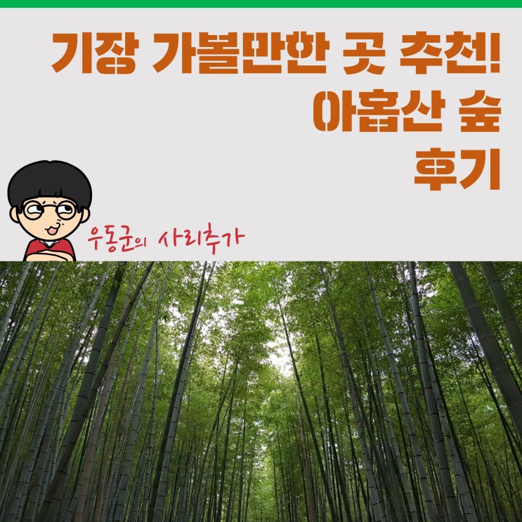  기장 가볼만한 곳 추천! '아홉산 숲' 후기