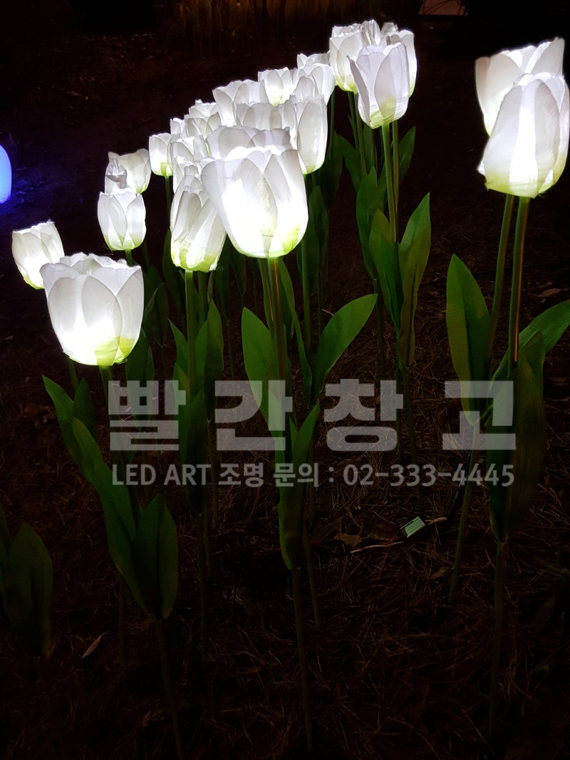 축제에 필요한 LED 튤립 조명과 장미조명[019] : 네이버 블로그
