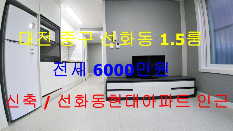 선화동원룸/선화동1.5룸/대전선화동원룸/대전선화동1.5룸/선화동원룸전세/선화동1.5룸전세