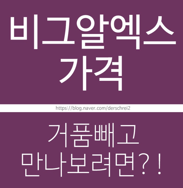  비그알엑스 가격 아깝지 않으려면~