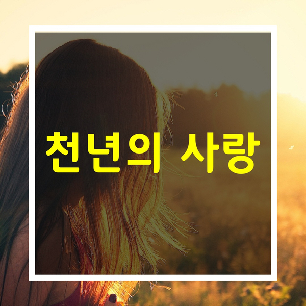  좋은글모음 [미워하지 말고 잊어버려라]