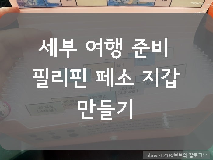 세부 여행 준비 - 필리핀 페소 지갑 만들기