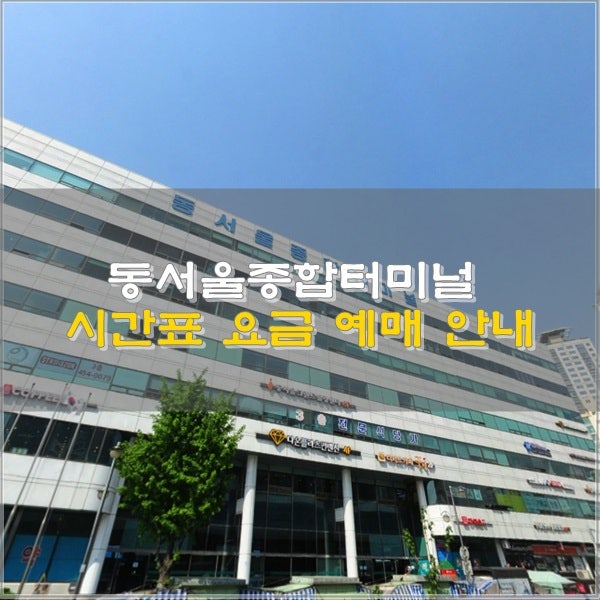동서울터미널 시외버스터미널 고속버스터미널 시간표 요금 예매 안내 : 네이버 블로그 동서울터미널 시외버스터미널 고속버스터미널 시간표 요금 예매 안내 : 네이버 블로그