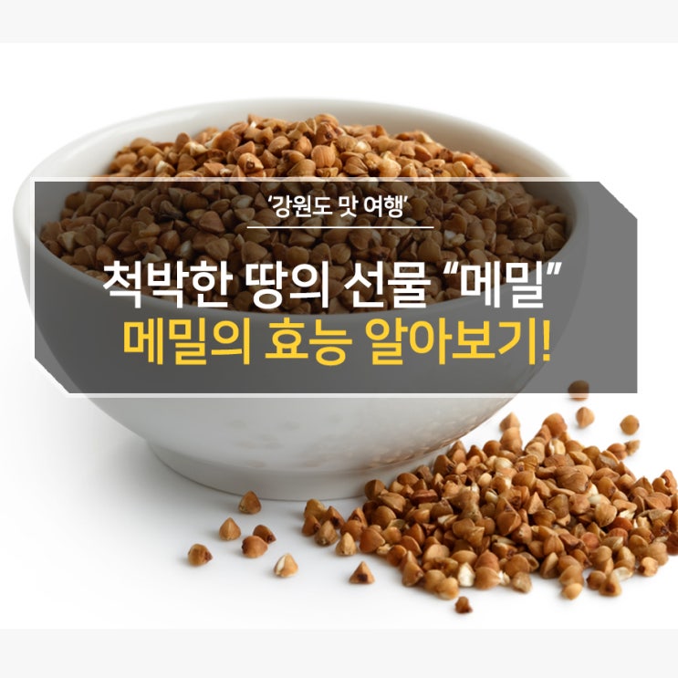  겨울을 나게해준 척박한 땅의 선물 고마운 메밀! 메밀의 효능 알아보기!
