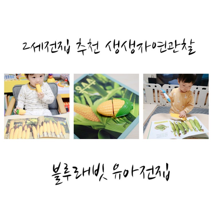  2세전집추천, 첫돌지나고 보는 자연관찰 전집