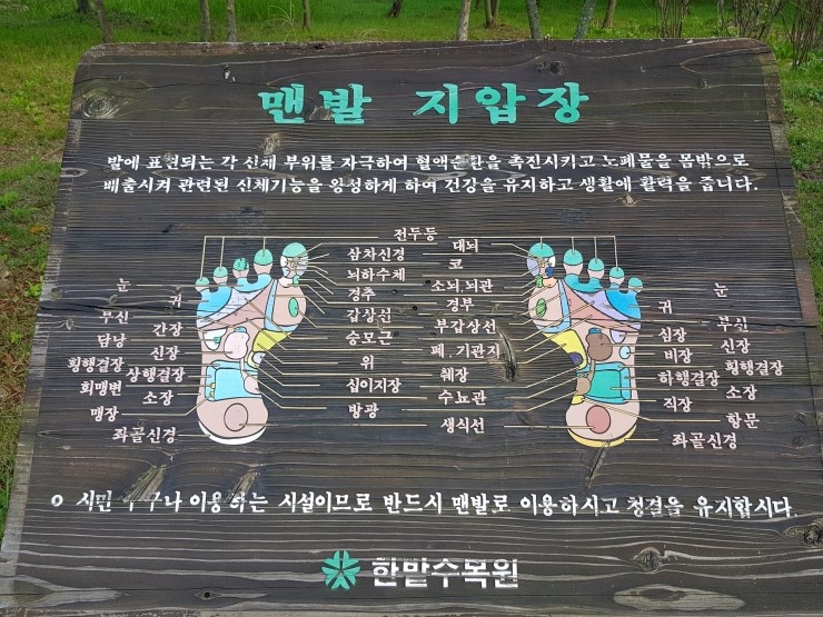  지압에 관해