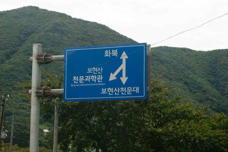  [뻘글] 삶