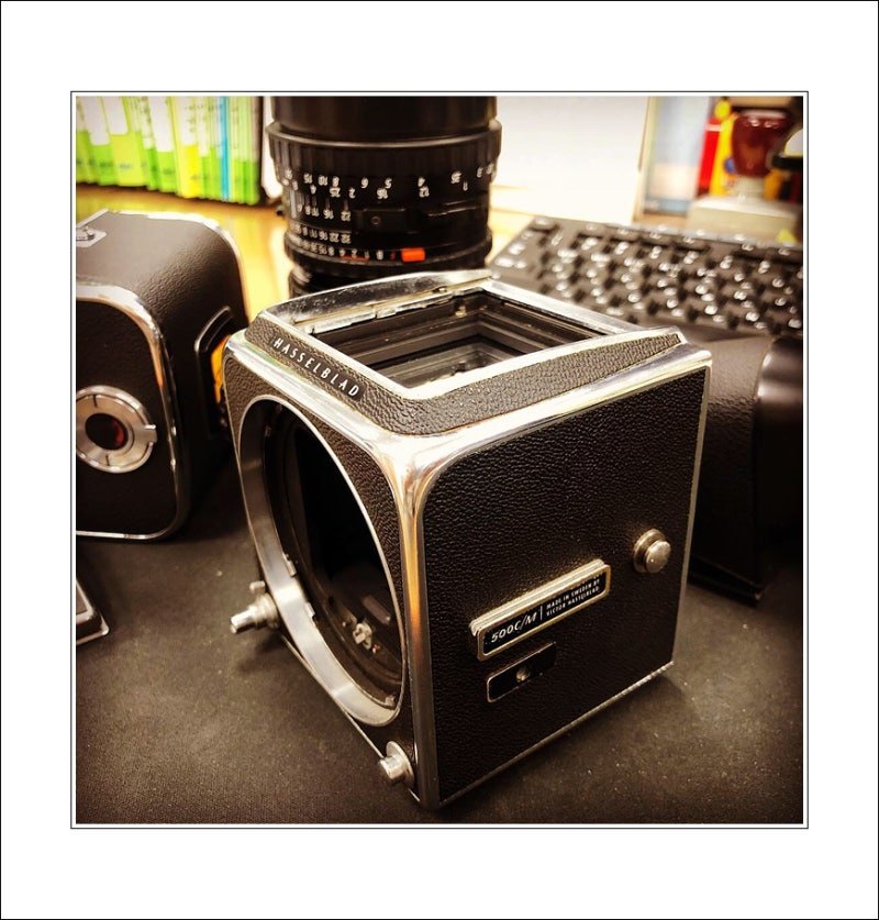 [HASSELBLAD 500cm] 핫셀블라드 500cm 영입과 테스트 촬영 결과물