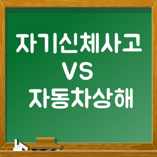  자손 vs 자상 차보험 비교 분석