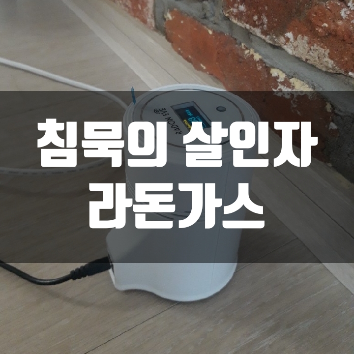  라돈 기준치 라돈가스 라돈 측정기 알아보기