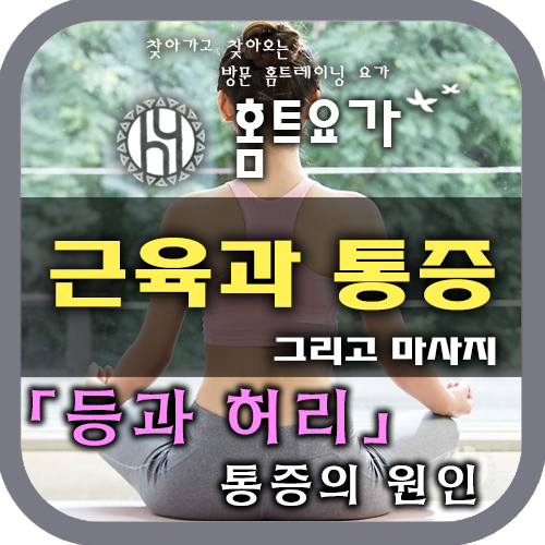  [방문요가/요가개인레슨] 근육과 통증 (등과 허리 통증의 원인)