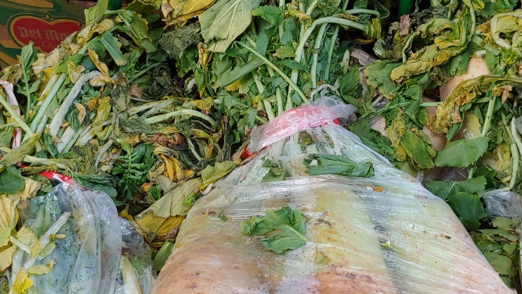 겨울철 웰빙 음식 무청 말린 시래기 걸어둔 풍경 뷰 겨울철 웰빙 음식 무청 말린 시래기 걸어둔 풍경 뷰