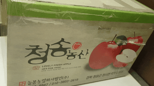 청송 꿀 사과!!!청송사과 과일 선물 받은 리얼 솔직 후기~~!!!