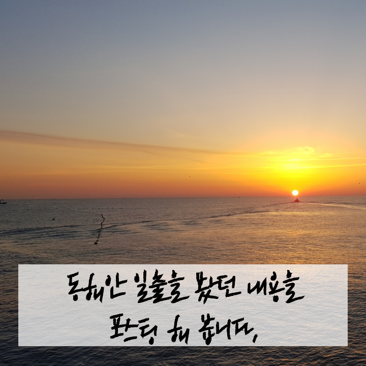  새해아침은 동해안 해돋이(일출)여행, 정동진, 낙산사, 양양 물치항 리뷰(해돋이 명소)