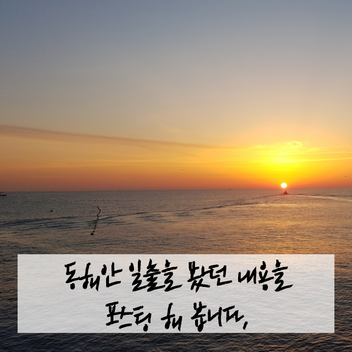 새해아침은 동해안 해돋이(일출)여행, 정동진, 낙산사, 양양 물치항 리뷰(해돋이 명소)