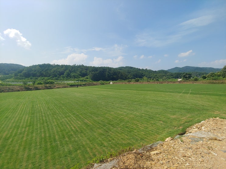  [토종잔디 전문농원] 진주 초원잔디(잔디판매,잔디가격,전원주택잔디)