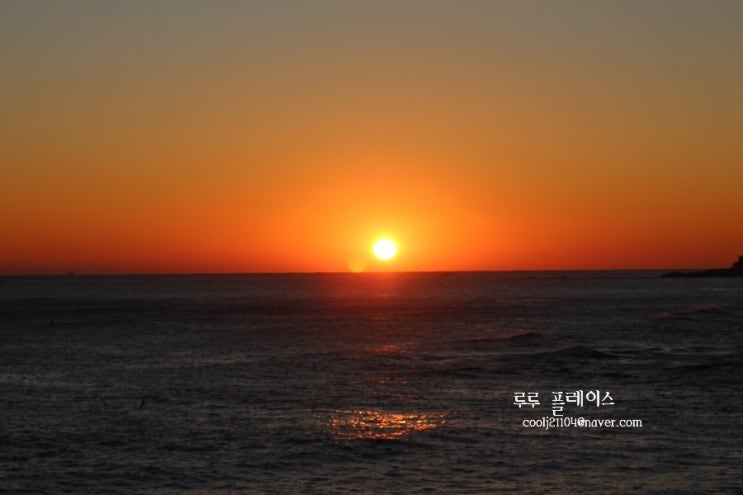  정동진 해돋이 주차 소식.